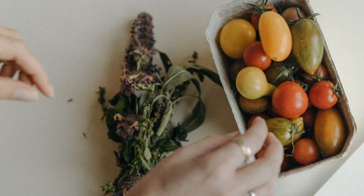 Website und Texte für naturverbundene Brands, Slow Living Marken, Personal Brand